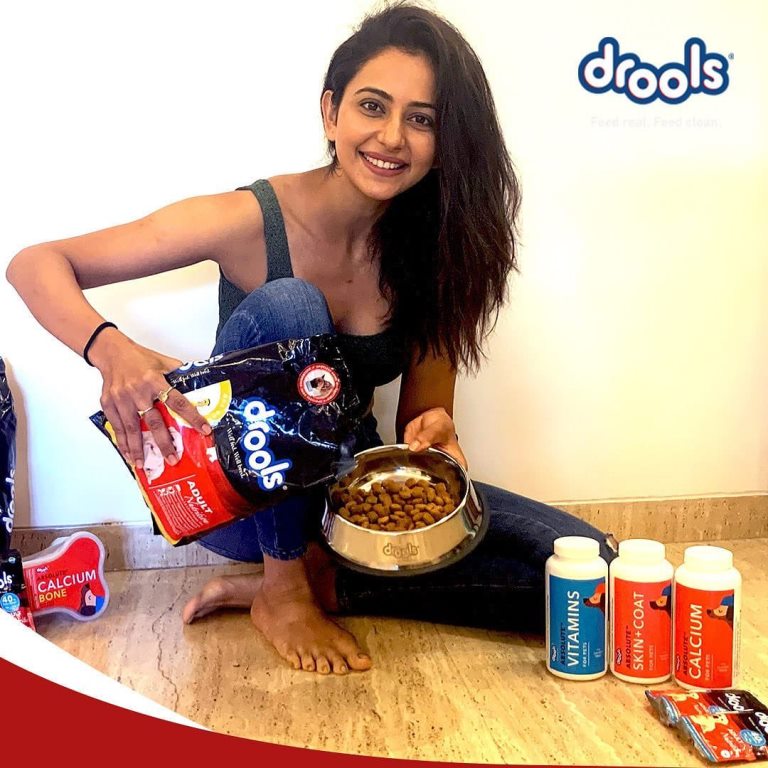Rakul Preet Singh Photos/images/pics hd