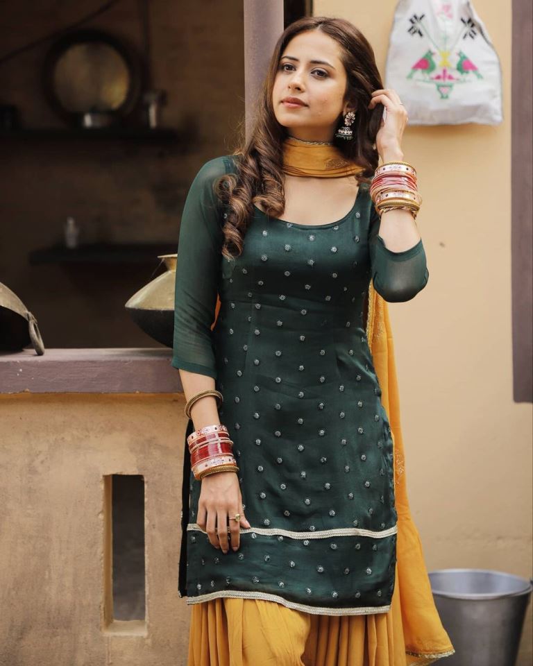 Sargun Mehta 