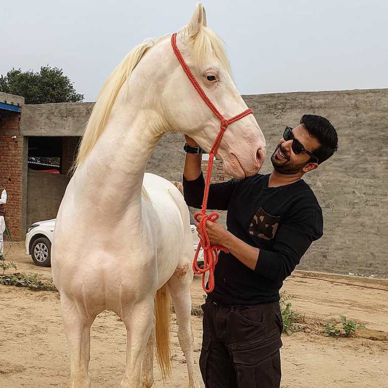 Manit Joura