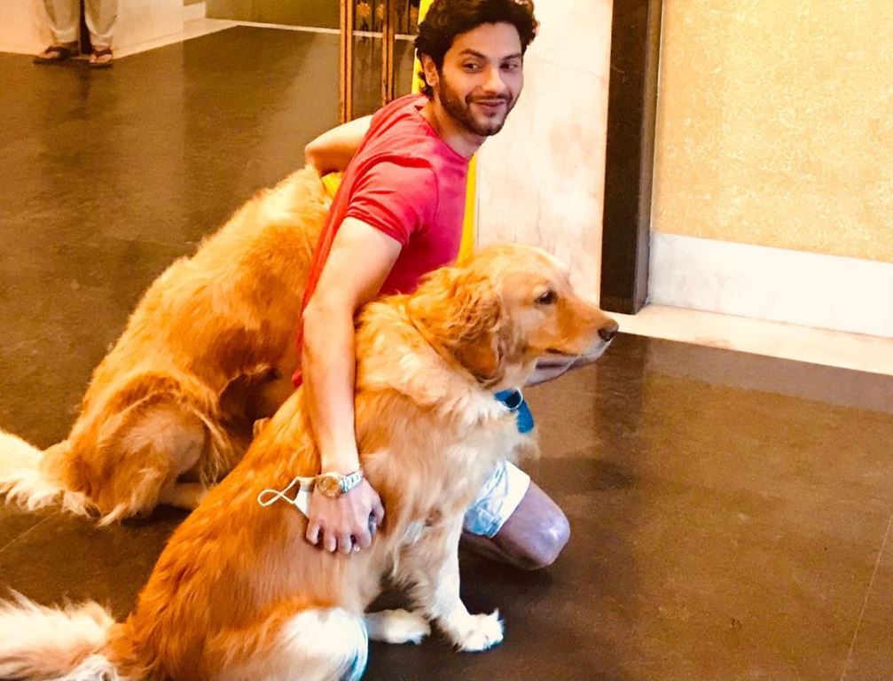 Mishal Raheja