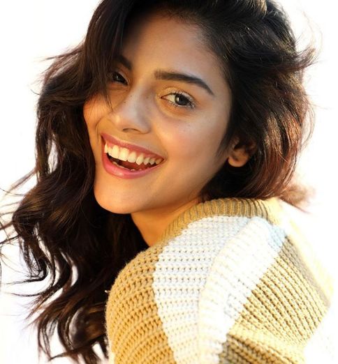 Harshadaa Vijay Family, Photos, Net Worth, Height, Age, Date of Birth, husband, Boyfriend, Biography