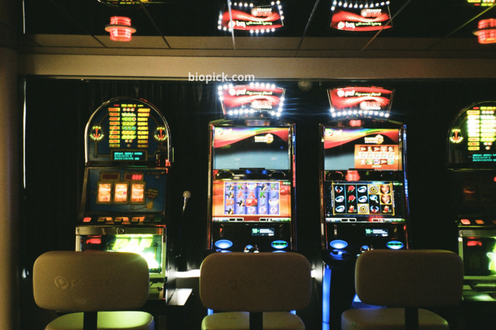 How Does the SG Online Casino Free Credit Help Beginners?