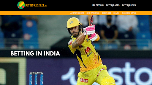 Betting in India: How to Start Betting and Choose the Sportsbook?