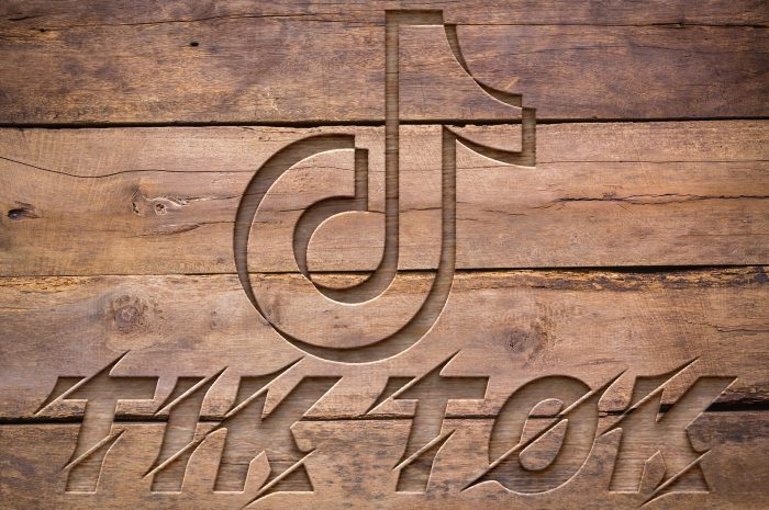 TikTok Marketing Tips To Effectively Run Your Business In 2022