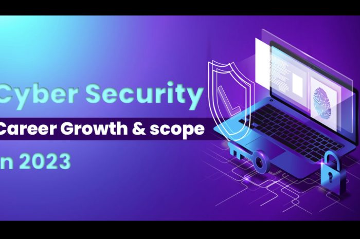 Who is a cyber security expert?