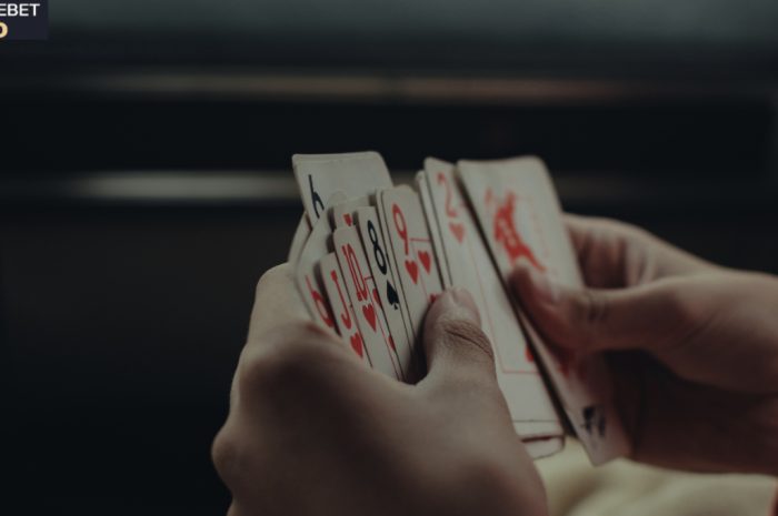 A detailed and honest review on the Sapphirebet bookmaker in India.