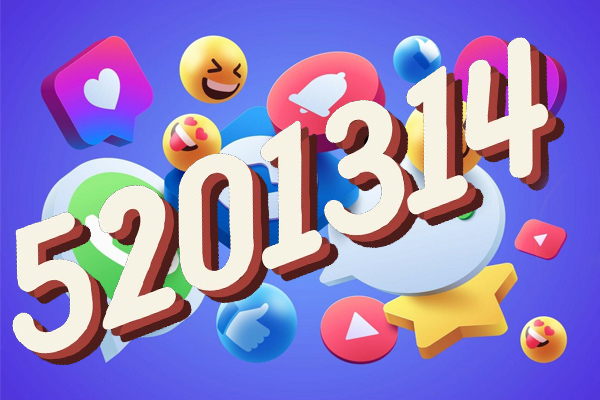 5201314 Meaning