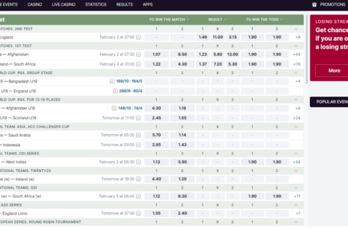 Betting on IPL 2024: Assessing Opportunities and Risks
